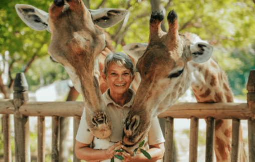 Wildlife Safari & Nature Parks